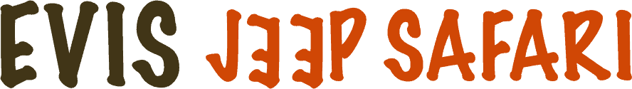 evisjeepsafari.com